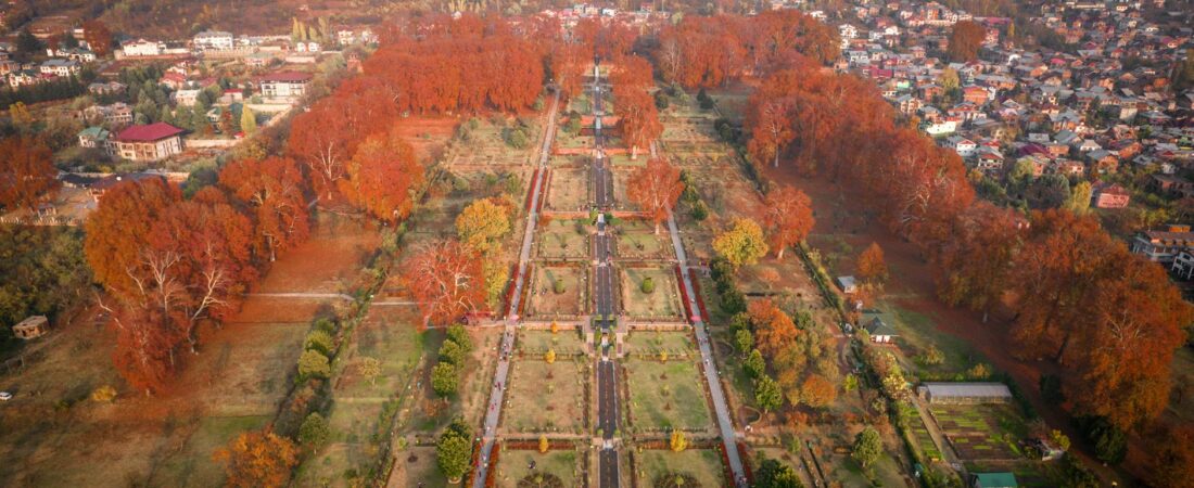 Kashmir in February: 5 Stunning Things Worth the Brutal Cold