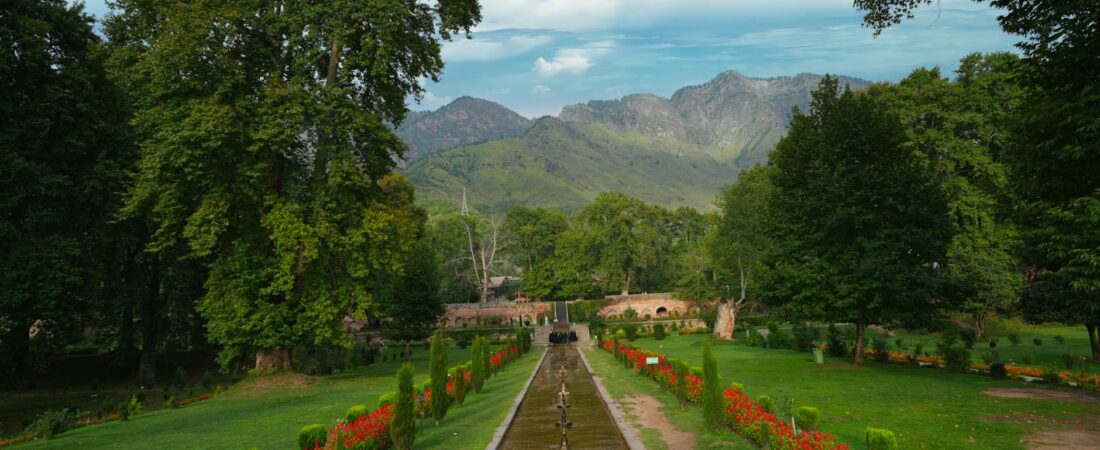 Lloyd Botanical Garden Darjeeling: 5 Stunning Reasons to Visit It