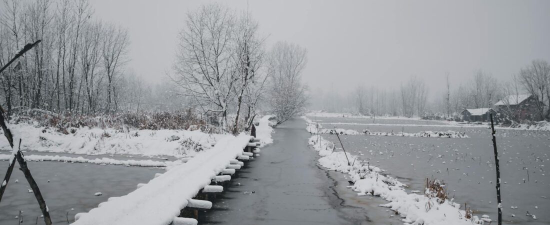 Darjeeling Snowfall Areas: Where You’ll Actually See Snow
