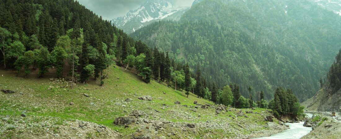 8 Breathtaking Kashmir Treks Ranked from Easy to Brutal