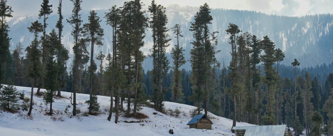 12 Offbeat Places Near Darjeeling Tourists Always Miss